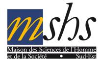 logo_mshs_4.jpg